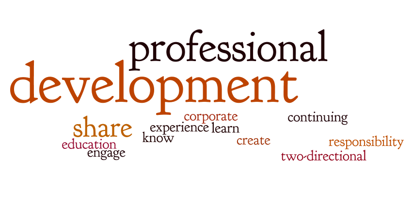 Professional development Day Logo